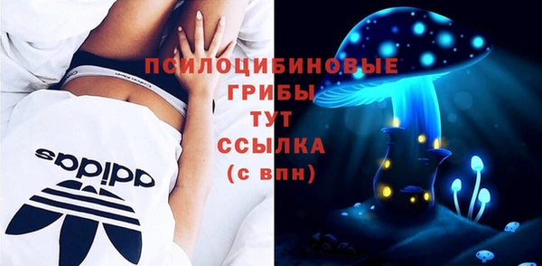 а пвп мука Богородицк