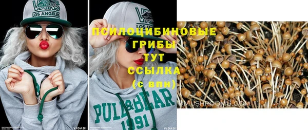 а пвп мука Богородицк